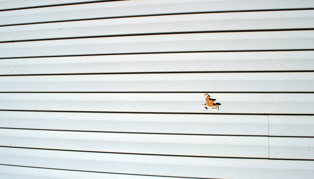 Best Siding for Commercial Buildings  in Apopka, FL