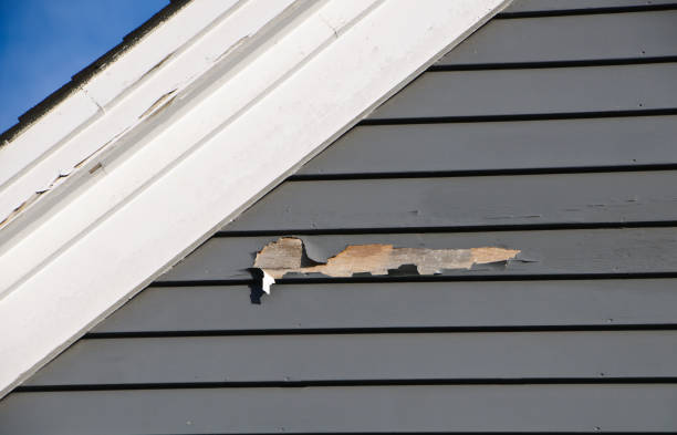 How To Choose The Right Materials for Your Siding Installation in 'Apopka, FL