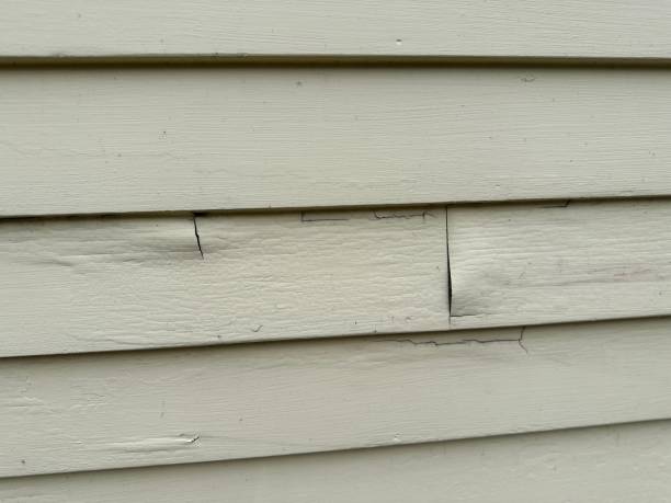 Best Aluminum Siding Installation  in Apopka, FL