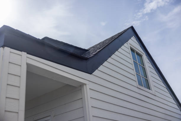 Best Custom Siding Design  in Apopka, FL